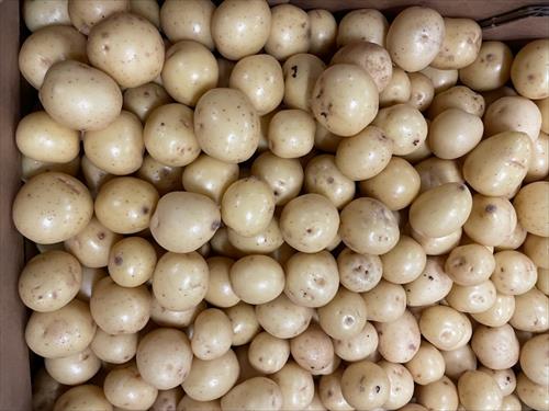 Tilbuds billede