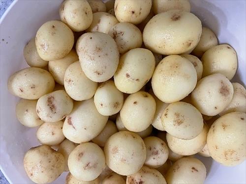 Tilbuds billede