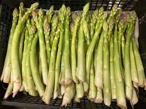 Tilbuds billede